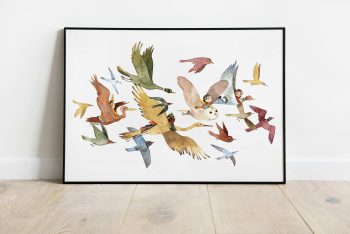 Cuento-Pájaros ilustradora Cecilia Plaza