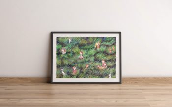 Hierba ilustradora Cecilia Plaza