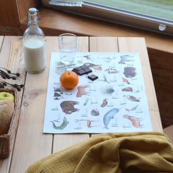 Mantel individual ABC inglés