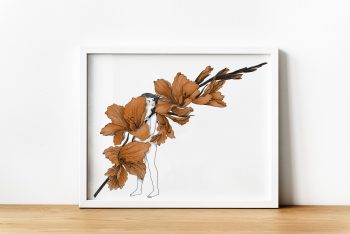 Ilustración Flores Gladiolo