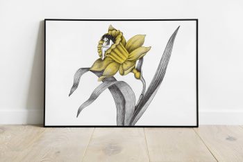 Ilustración Flores Narciso
