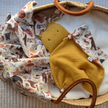 DouDou y muselina Perros en una cesta